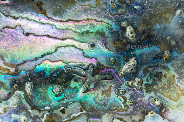 Shiny mother-of-pearl of Abalone shell background Stock Photo by pilens